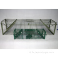 Whit Bird Cage Animal Live Trap een vogelcagetrap